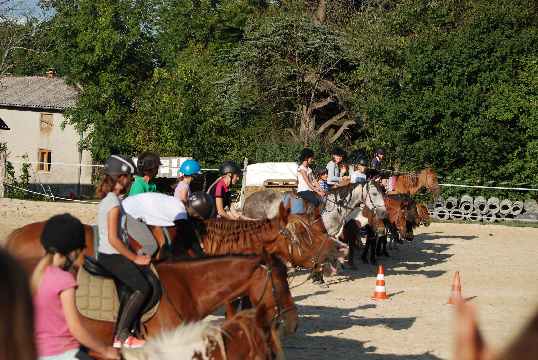 Alignement cavalières ds carrière.jpg