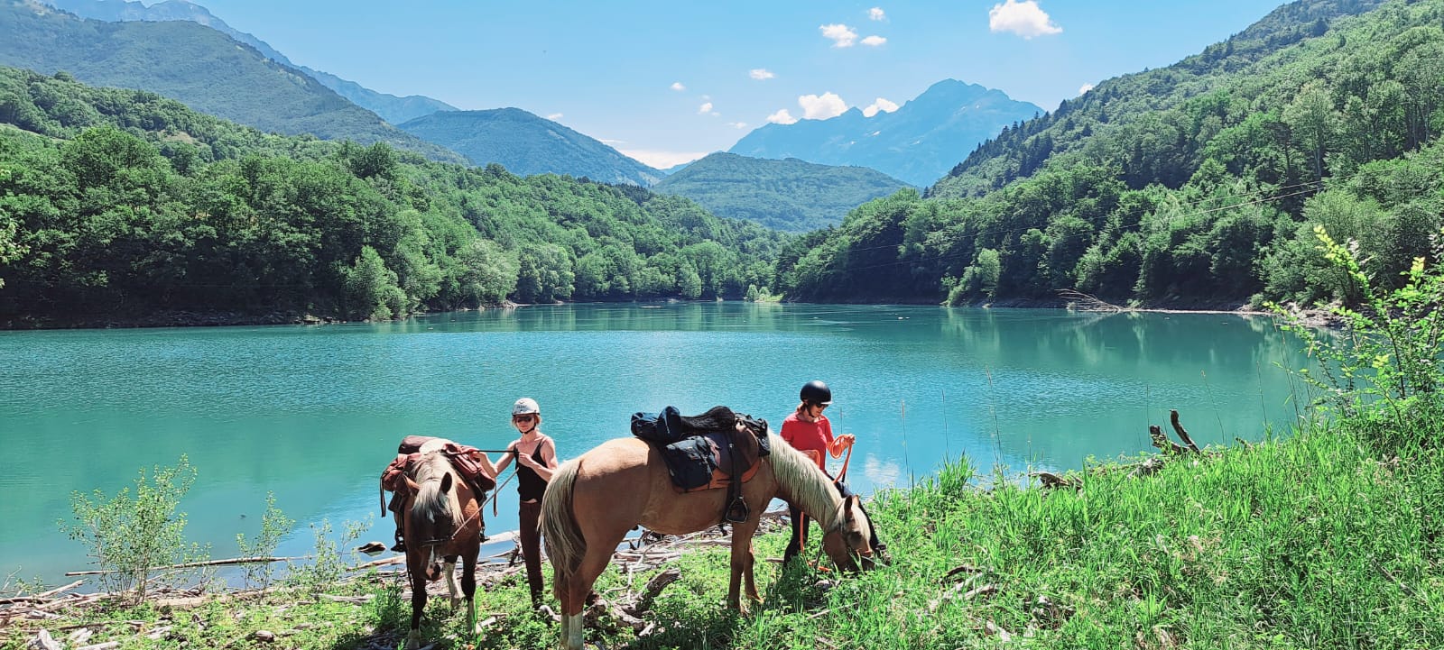 Bord du lac du Sautet.jpg