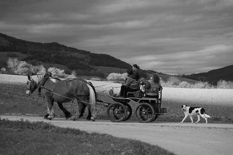 _06_7178.jpg
