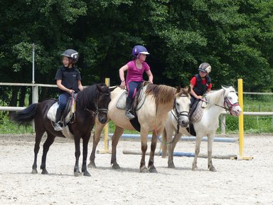 cavalier-cours-equitation.jpg