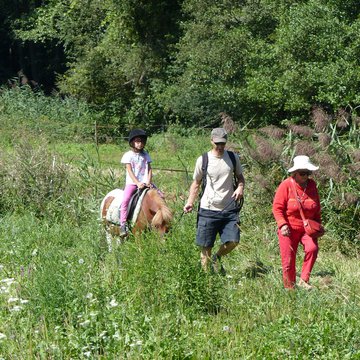 PCE-poney-câlin-balade.JPG