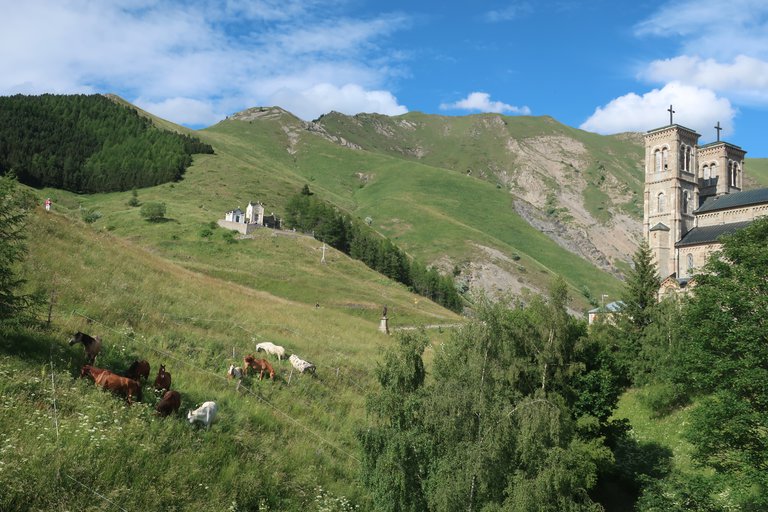 Paddock sous basilique.JPG