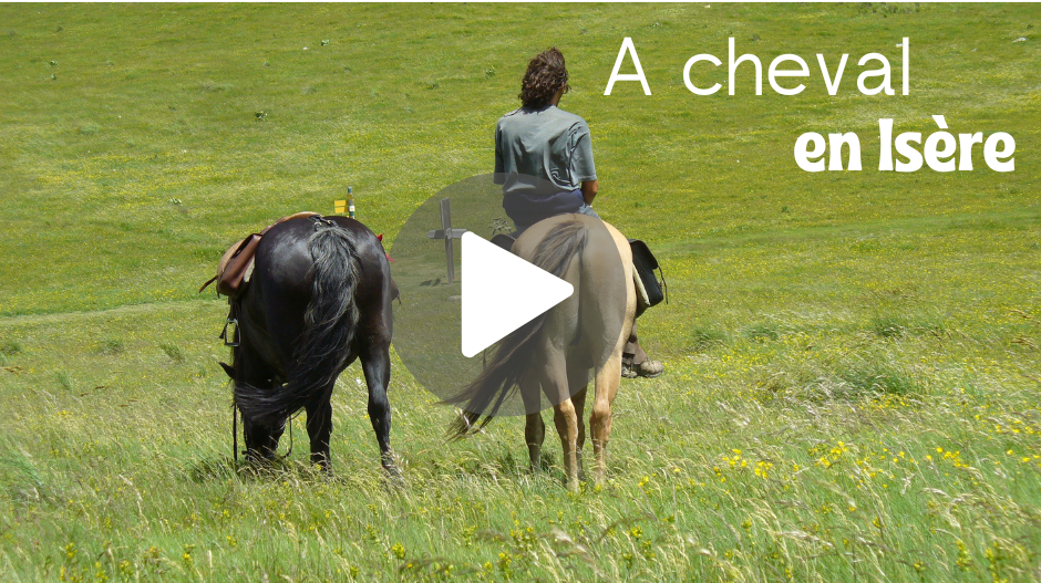 Isère Cheval Vert, facilitateur d'expériences à cheval et en attelage ...