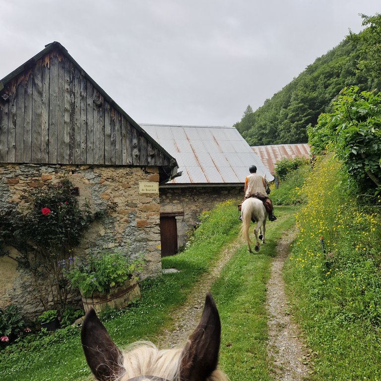 En montant à La Salette.jpg