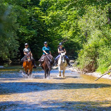 Isère Cheval Vert © Frédérick Pattou -83.jpg