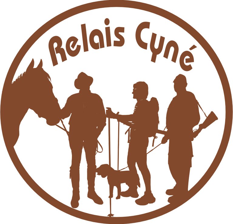 Logo Relais Cyné.jpg
