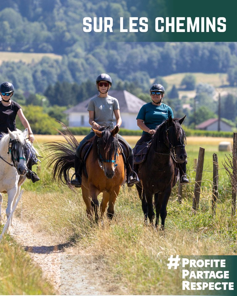 Onglet_Sur les chemins.png