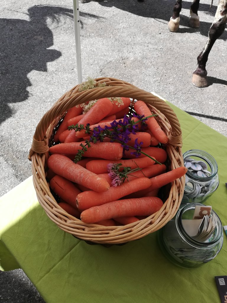 panier carottes.jpg