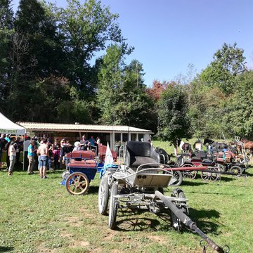 Calèches dvt cabane chasse.jpg