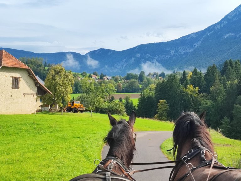 Chevaux Patrick et paysage Savoie.jpg