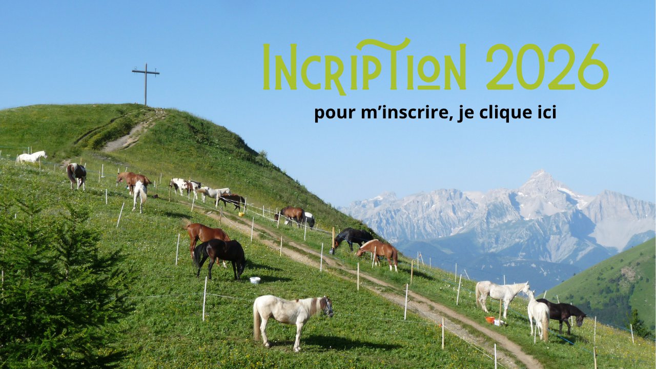 Bouton inscription - Cavalcades Pèlerines 2026 .png