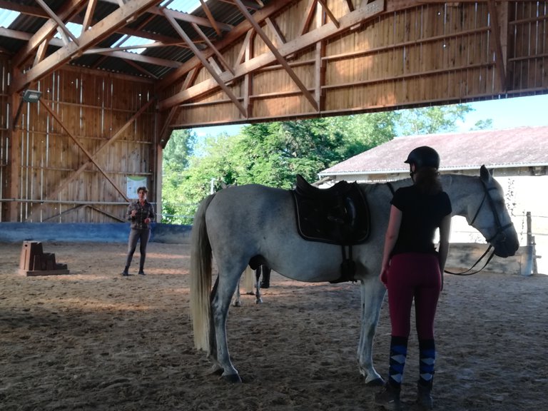 Cavalière cheval gris.jpg