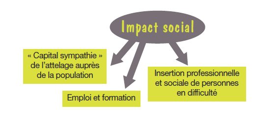 impact social TA.jpg