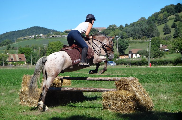 Isère Cheval Vert, facilitateur d'expériences à cheval et en attelage ...