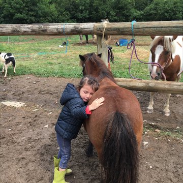 Fillette calin poney.JPG