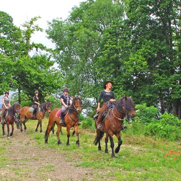 Randonnée à cheval dans le Vercors  sur les chevaux de Barraquand - 2 jours
