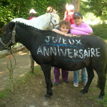 Les poneys chez toi pour ton anniversaire