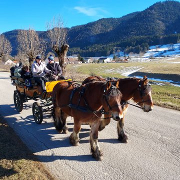 Calèche du Vercors - PMR