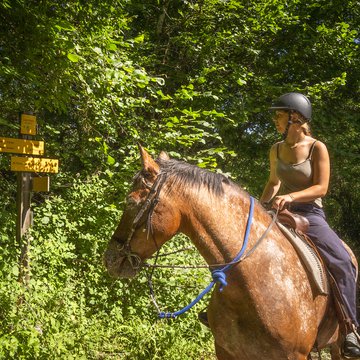Tour du Lac d'Aiguebelette à cheval - 2 jours