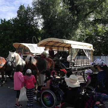 Les attelages des Balmes - PMR