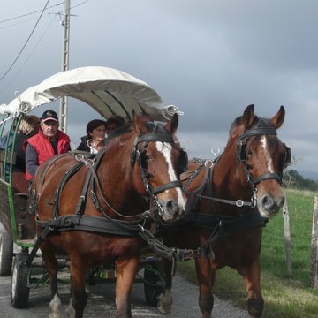 Le Loisir est dans le pré
