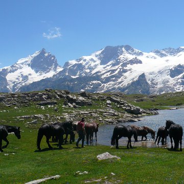Randonnée à cheval : de l'Oisans à la Savoie ! - 2 jours